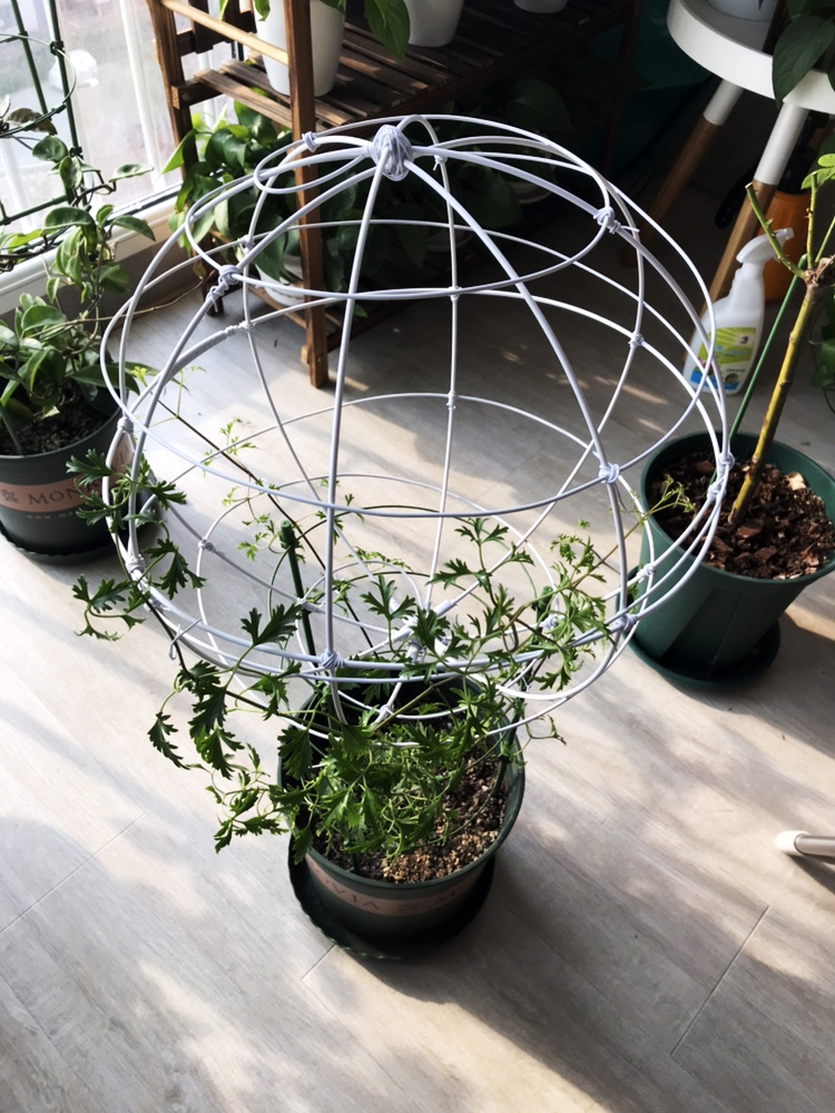 花卉防倒支架花卉造型铁丝手工diy铁线莲花架养花支撑棍月季植物绑花