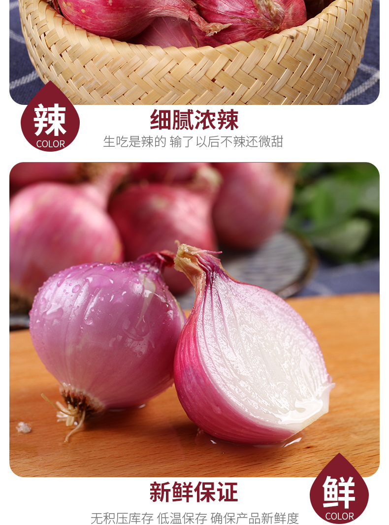 小圆葱独头葱毛葱生吃鬼干小洋葱头迷你圆红葱头