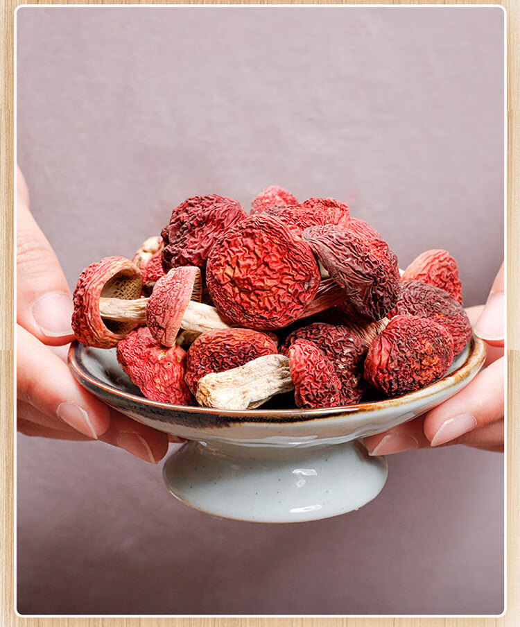 五折福建三明正红菇干货蓝底特级月子红蘑菇特产500g礼盒装500g