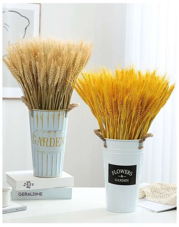 兆族金穗天然麦穗干花插花束开业大麦黄金麦穗真干花客厅田园装饰摆件