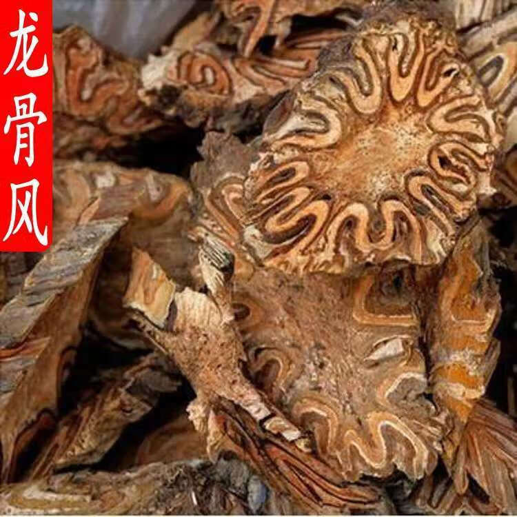 野生龙骨风 桫椤 飞天擒罗山卡捞劳禽捞中药材飞天蠄蟧 精选龙骨风