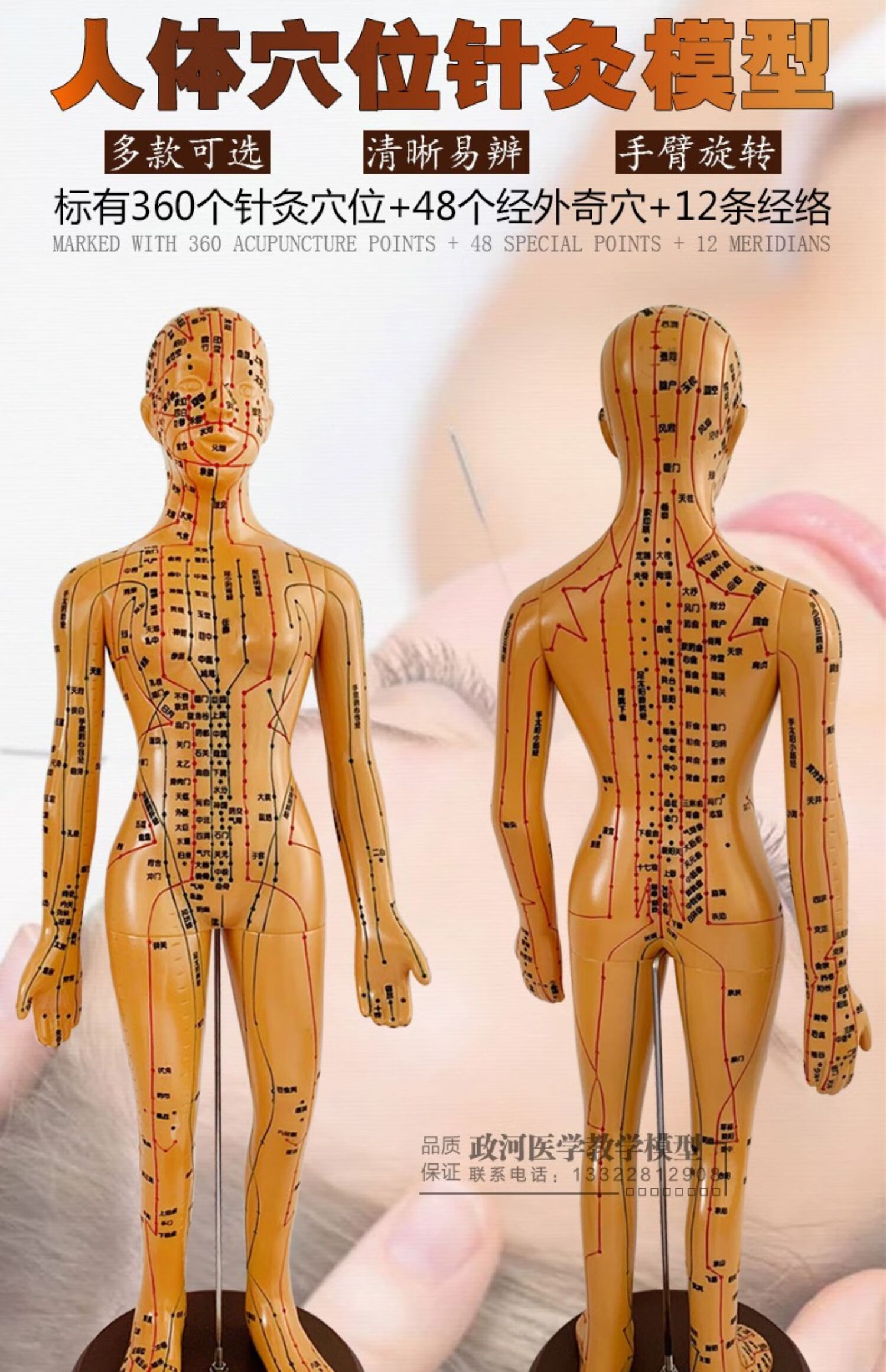 超清晰經絡通男女人體模型人體經絡圖中醫銅人針灸穴位模型小人 35cm