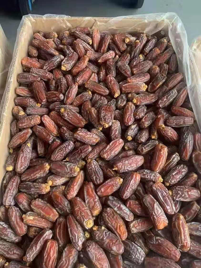 椰枣 阿拉伯进口 天然 新疆迪拜以色列蜜枣 甜波斯枣 一斤【500克】【