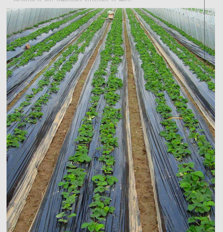 精选除草黑地膜黑色果树农用地膜塑料薄膜加厚保温保湿膜防草膜大棚膜