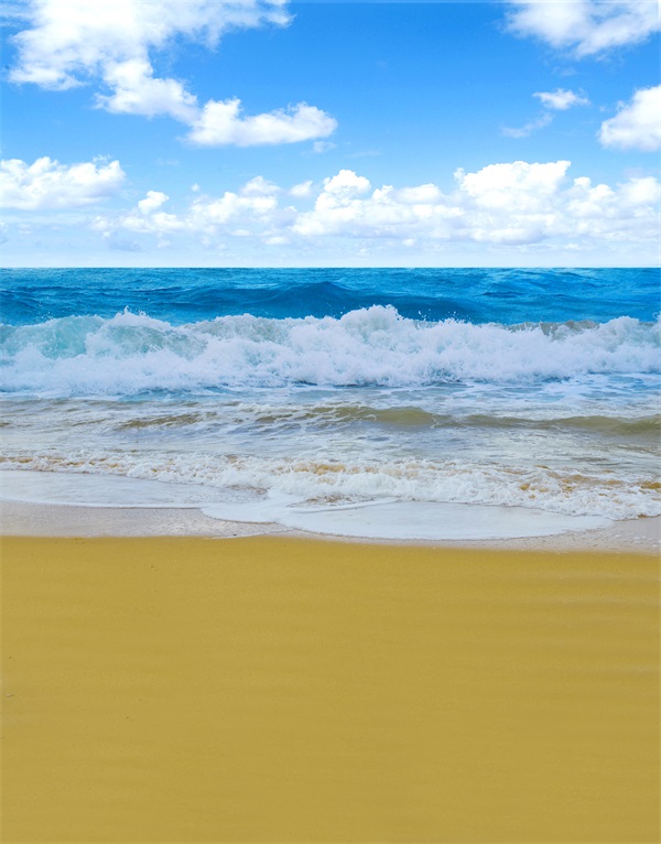 大海背景布 大海沙滩蓝天白云海边椰树风景主播拍视频段子直播背景布