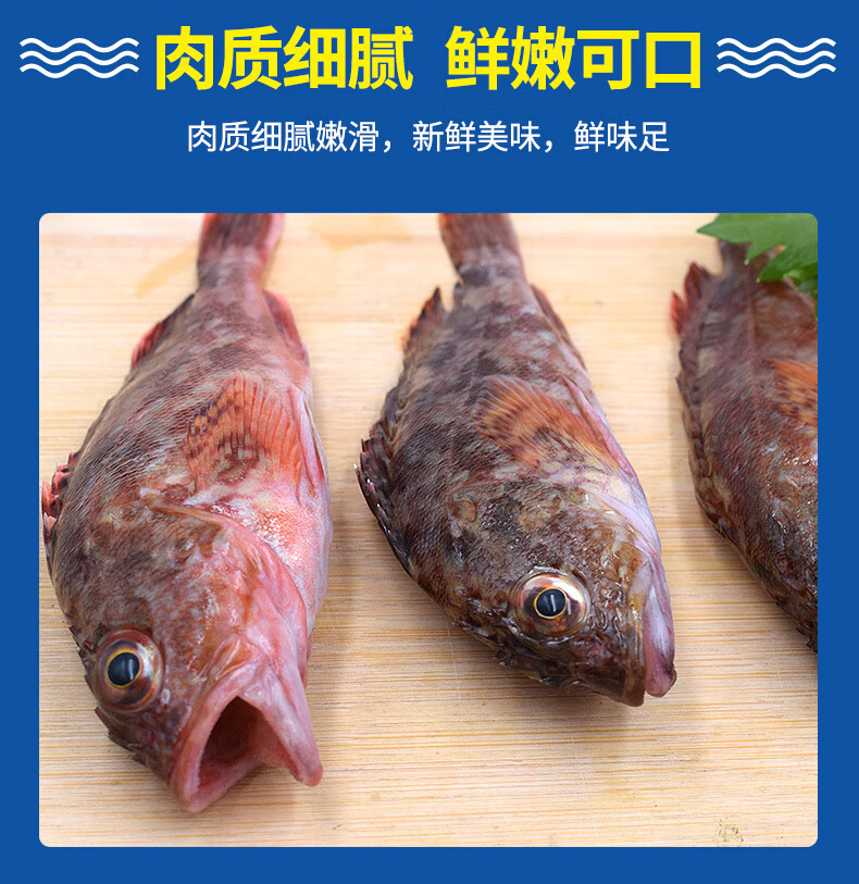 亚又婧舟山新鲜小虎头鱼1斤石翁鱼石斑鱼狗公鱼虎头斑