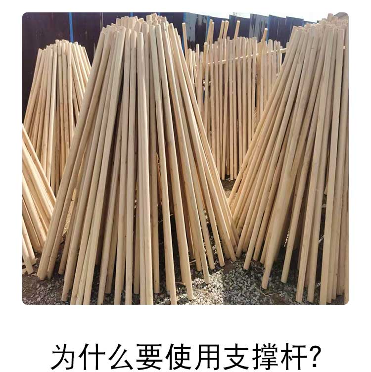 园艺树木支撑杆防风大树支架园林绿化固定器木棍套杯三四角架套装木棍