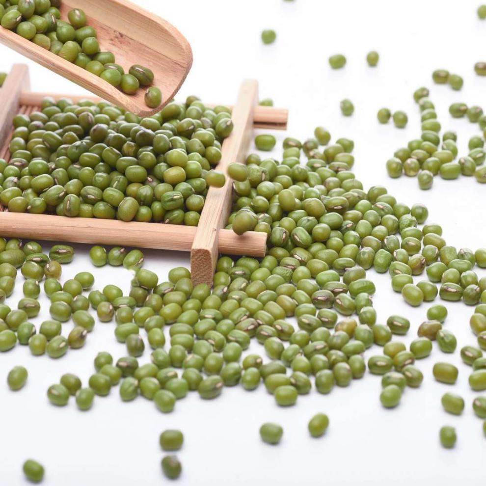 绿豆新货可发芽可脱皮绿豆 新鲜绿豆子糕汤杂粮解暑绿豆糕 1斤绿豆500