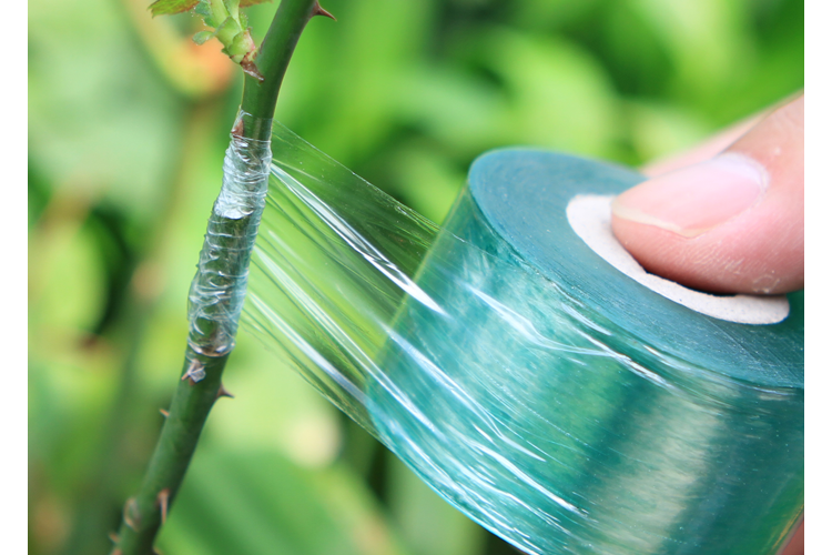 嫁接刀嫁接膜果树缠绕膜嫁接 膜自粘芽接刀透明拉伸膜嫁接帮手 嫁接刀