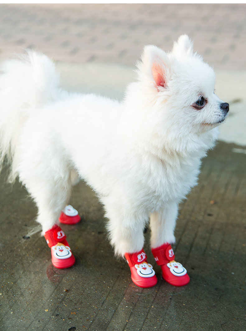 狗狗雨鞋春夏季泰迪比熊小型犬防水鞋子软底不掉大型宠物通用脚套蜜糖