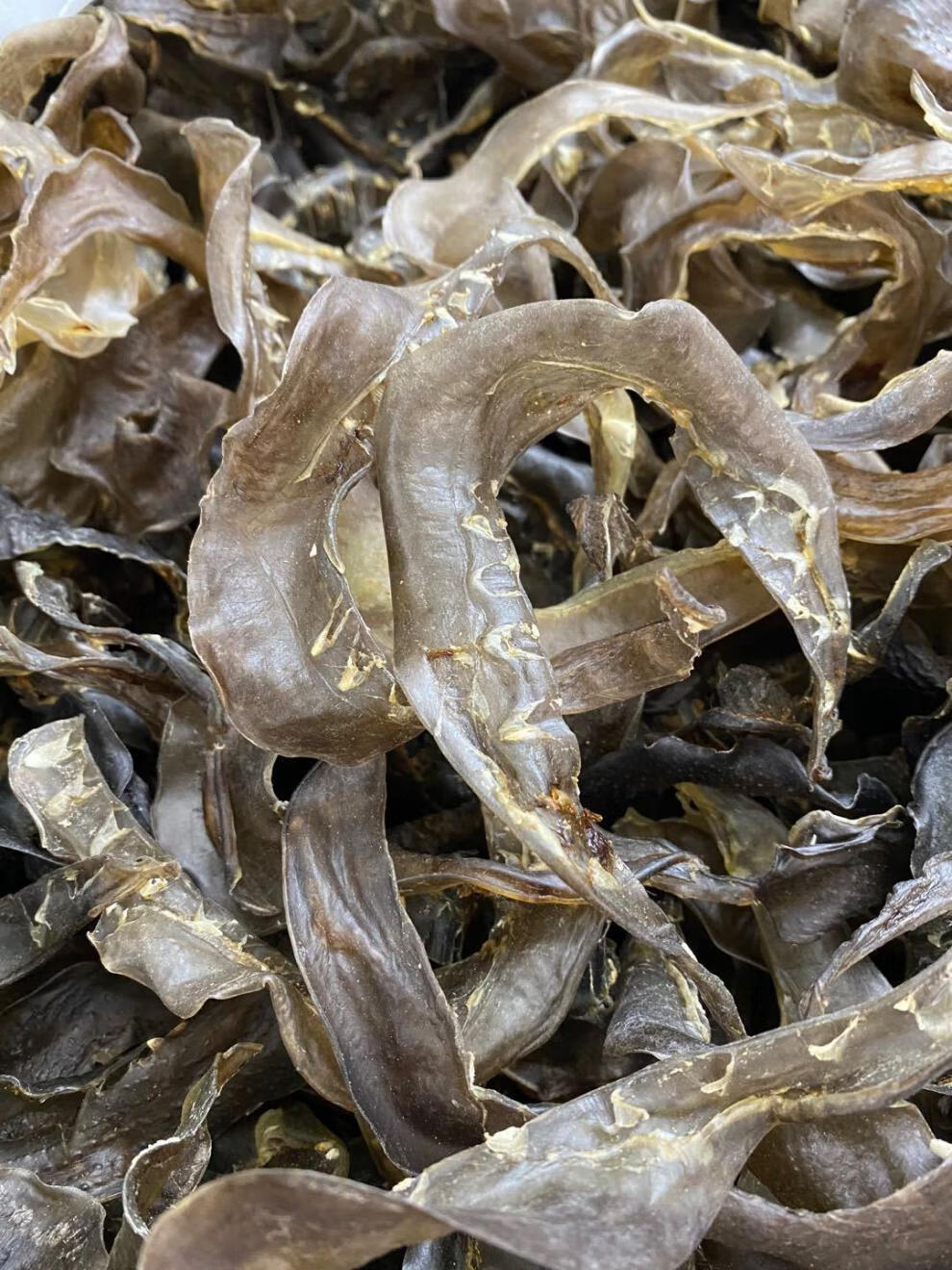 90头甲鱼裙边干 水鱼边王八裙边 龟裙边乌龟边龟板胶250g 500g【图片