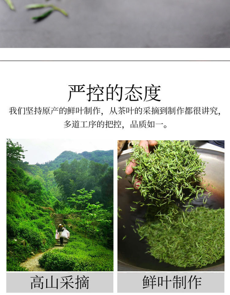 明前安徽舒城精品小蘭花2022新茶綠茶葉多規格茗播250克罐裝頭採嫩芽