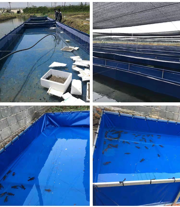 帆布养鱼池龙虾大棚帆布鱼池养殖加厚锦鲤鱼池防渗防雨蓄水池大型防水