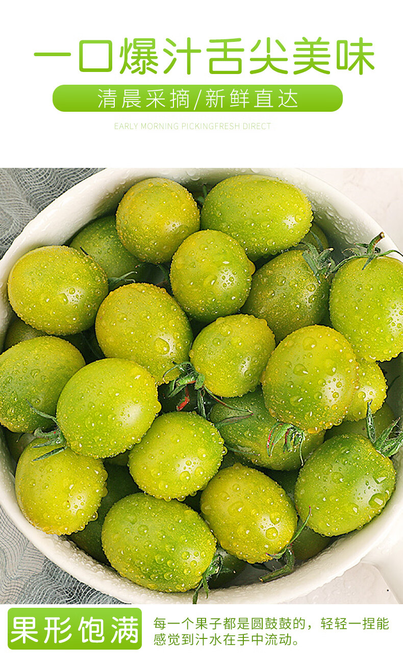 新鲜绿宝石小番茄5斤当季绿色疏菜圣女果青蜜西红柿孕妇水果 3斤