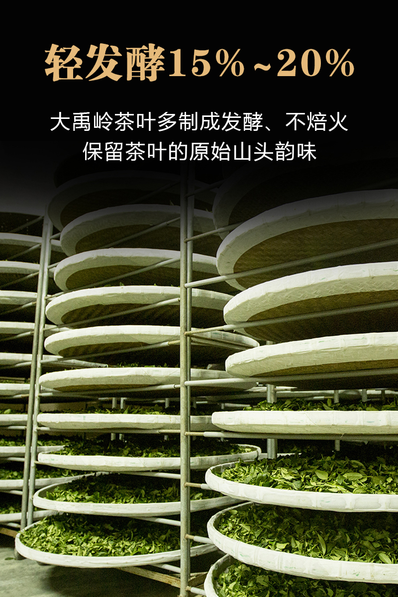 大禹岭高冷茶 清香型150g 高山茶新茶上市高山乌龙茶茶叶 乌龙茶茶叶