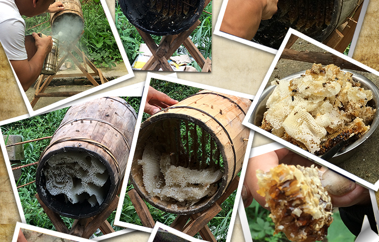 土蜂蜜蜂桶圆桶蜂箱格子全套锈蜂密分蜂工具老杉木成品中蜂桶 新手(有