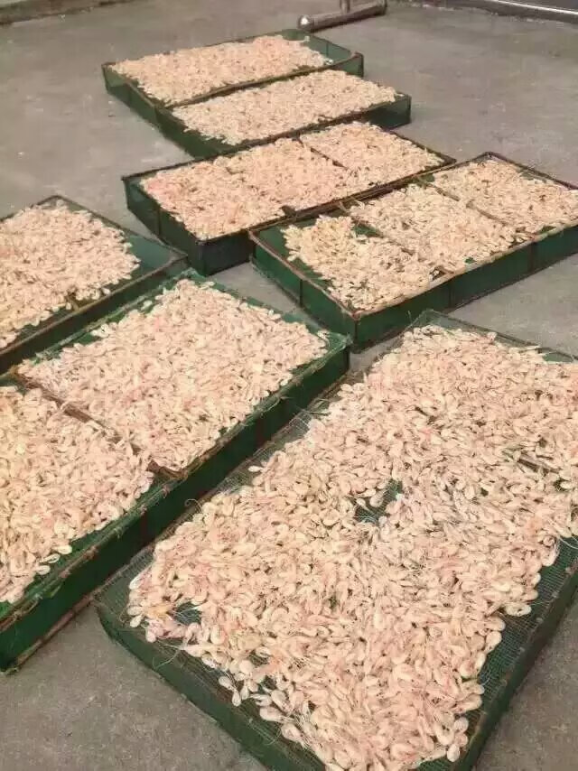 苏州太湖 三白礼盒 东山特产 白鱼白虾银鱼干 1100克  礼8件