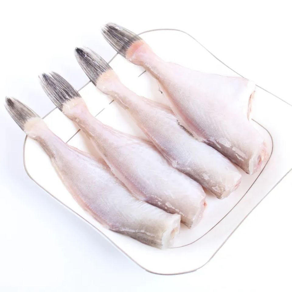 大号扒皮鱼耗儿鱼三去橡皮鱼深面鱼新鲜冷冻去头去内脏2条25斤大号