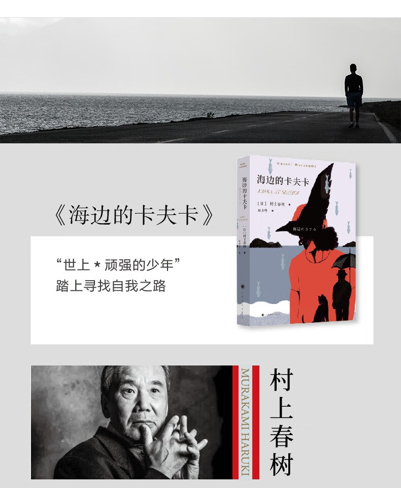 海边的卡夫卡村上春树著挪威的森林现当代文学随笔校园青少年情感纯情