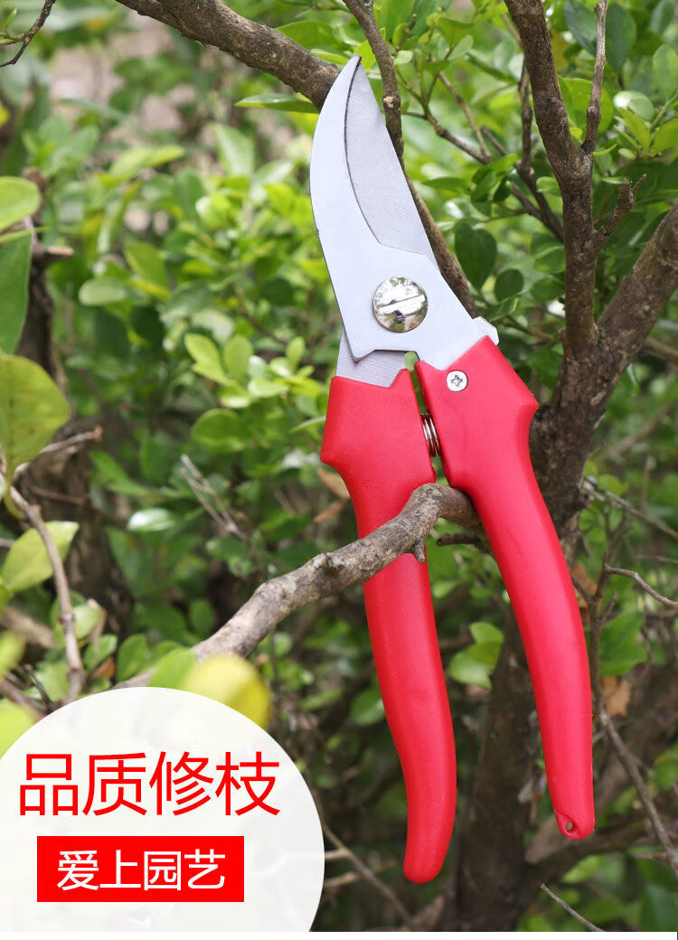 ac8c70443971ddc8.jpg