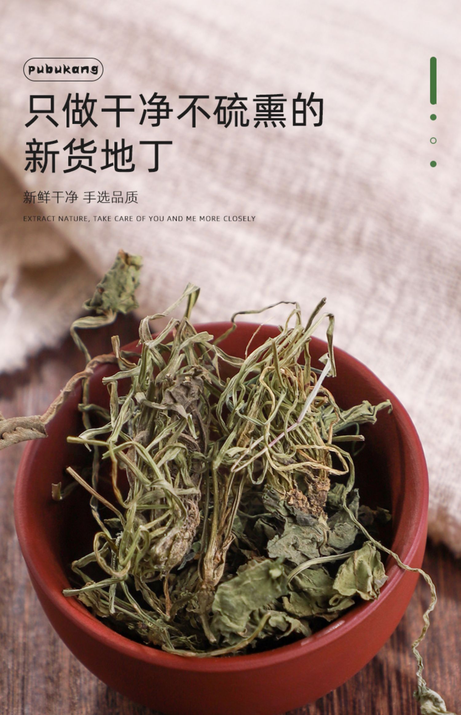 北京同仁堂地丁草新鲜500g草药干泡茶散装中药材粉野生特级紫花地丁茶