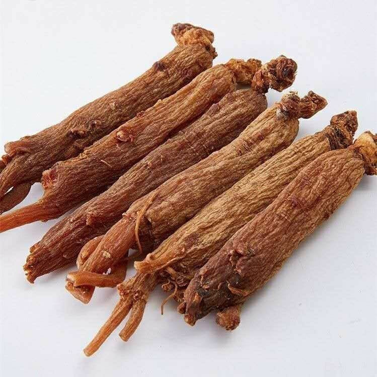 长白山野生红参个东北正宗吉林生晒人大红参高丽参无糖足干红参棒100