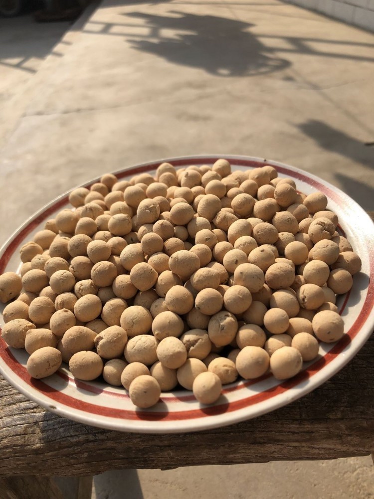 陕县面豆 新河南特产老赵面豆味道中原陕县老赵家面豆东寨陕州农家