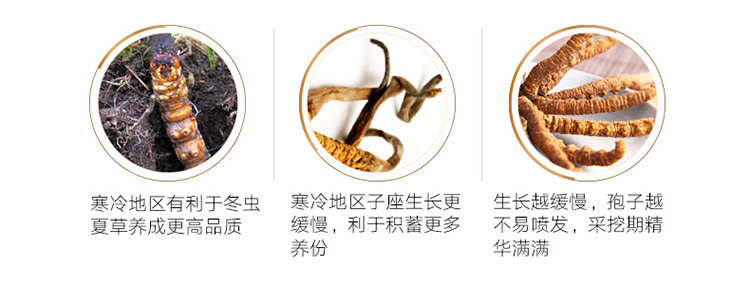 49755c2d68d386f5.png