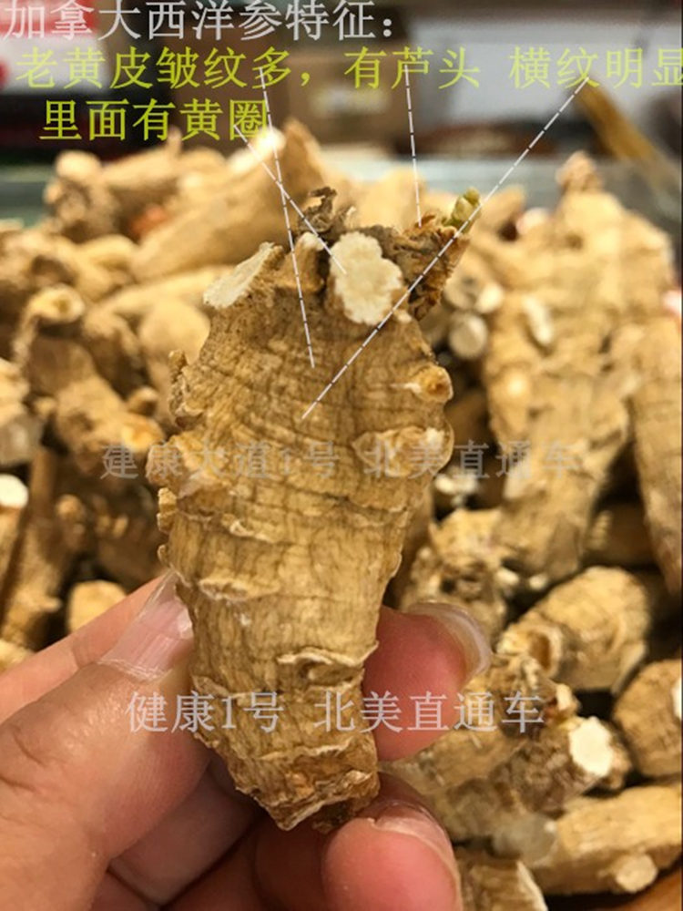 加拿大安省农场花旗西洋参aaa级短粗整大头6年精品泡参 短粗整大头6年