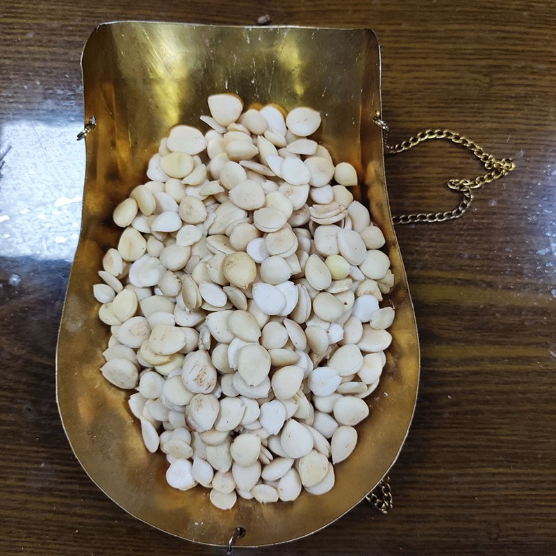 融草集中草药 炒苦杏仁 天然无硫中药材店铺药材大全 别名山杏仁 杏仁