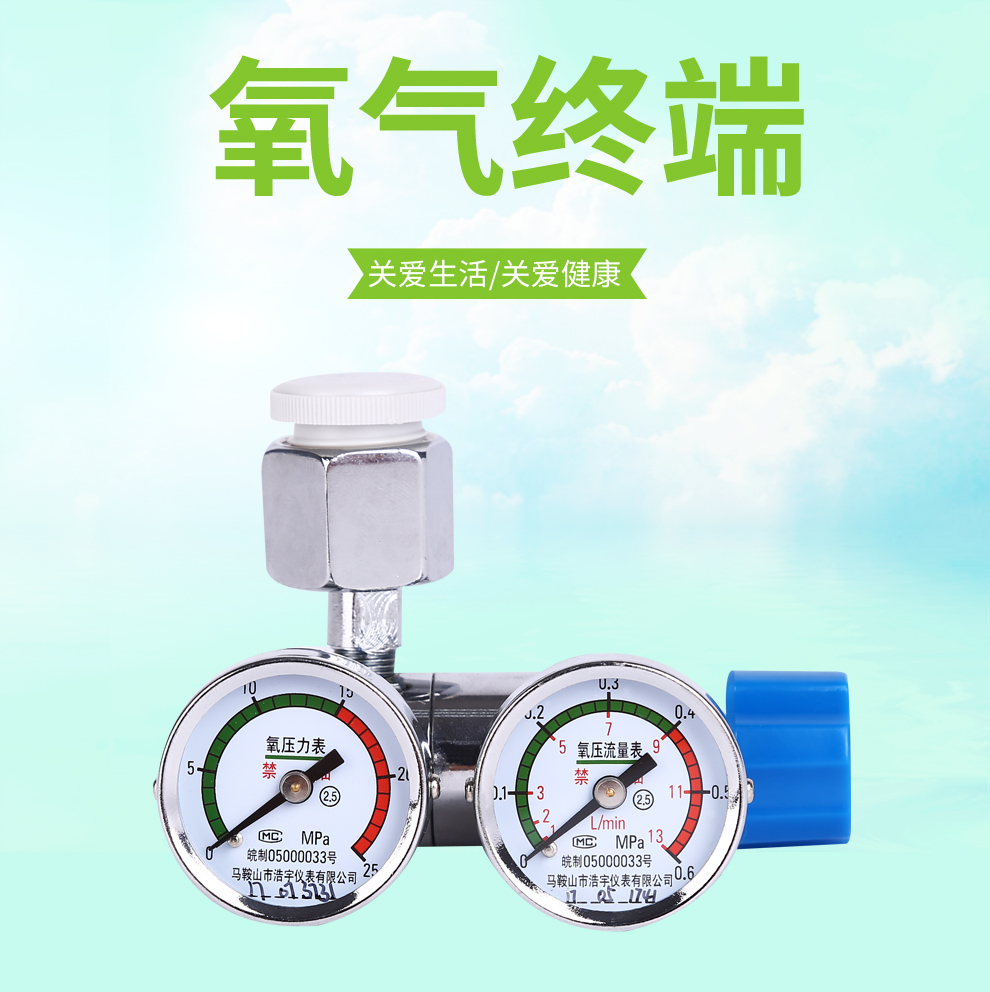 登月氧氣瓶雙表閥門氧壓力錶減壓閥壓力流量表10l15l20l40l升閥