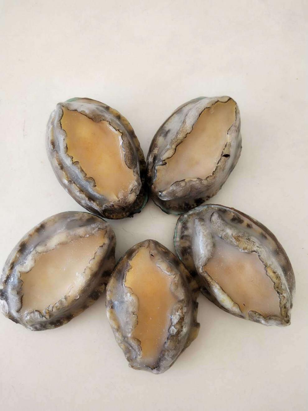 京力推荐鲍鱼烟台特产深水野生新鲜活冻鲍鱼孕妇级放心鲍亏本冲量两斤