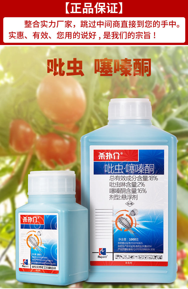 蚧壳虫专用药蚧必治吡虫啉噻嗪酮多肉花卉果树介壳虫杀虫剂 1000g