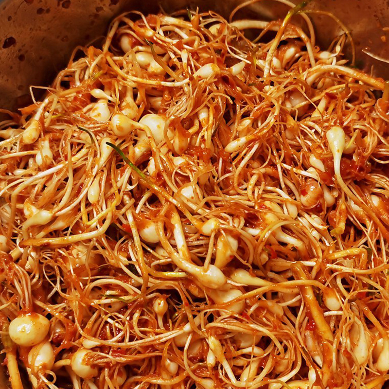 晨臻 东北特产小根蒜山野菜大脑瓜小头蒜蘸酱菜500g 1500g【图片 价格