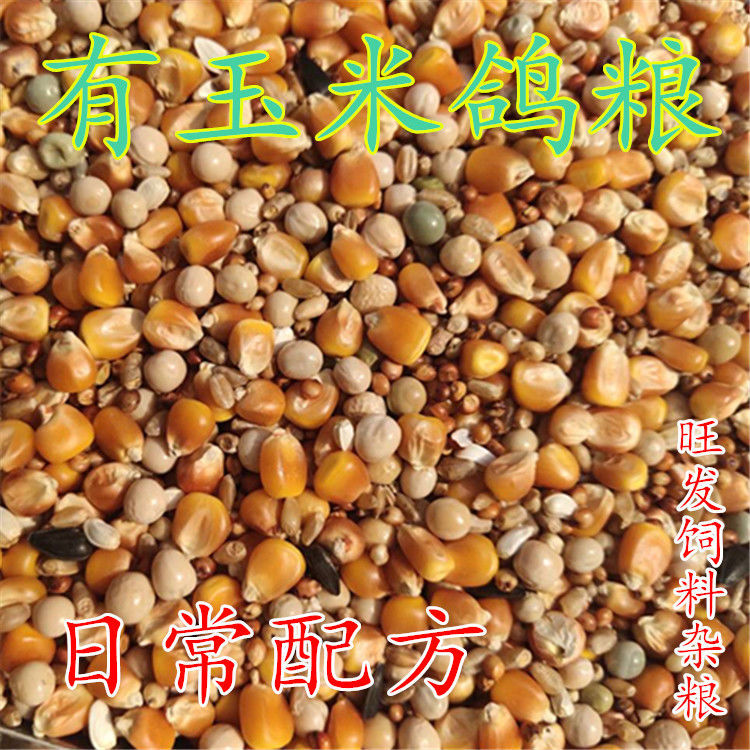 鸽友精品鸽粮50斤鸽子粮送高钙砂aa级精品鸽粮50斤送鸽粮10斤