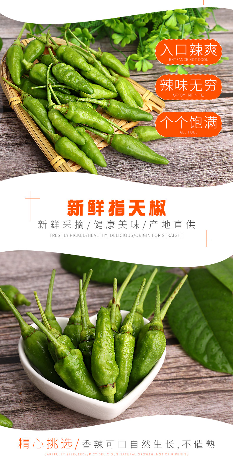 媚调野山椒9斤新鲜农家蔬菜特辣青辣椒指天椒朝天椒小米辣泡椒10 5斤