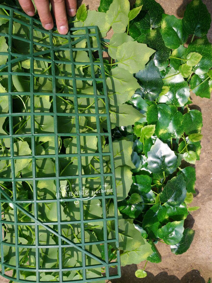 仿真草坪塑料人造草坪地毯草米兰草四头草坪幼儿园橱窗装饰植物墙2525