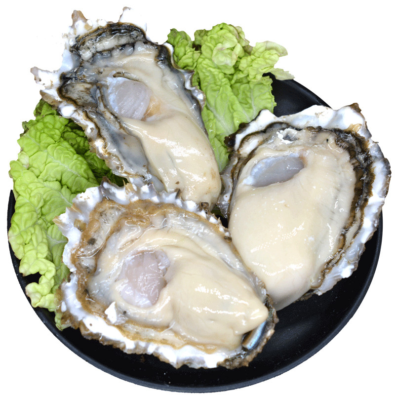 【顺丰现货】生蚝肉 新鲜生蚝肉 去壳生蚝 当天牡蛎肉 海蛎子肉 2.