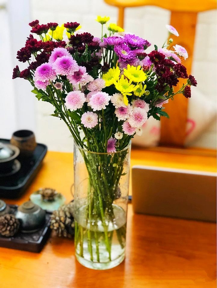 小雏菊洋甘菊安娜菊面包菊乒乓菊鲜花家庭生活瓶插花云南 粉色乒乓菊