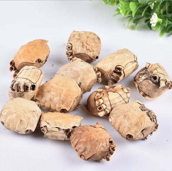 中药材 方海 螃蟹 螃蟹壳 螃蟹骨 螃蟹壳子 蟹壳子 非螃蟹粉 正品螃蟹