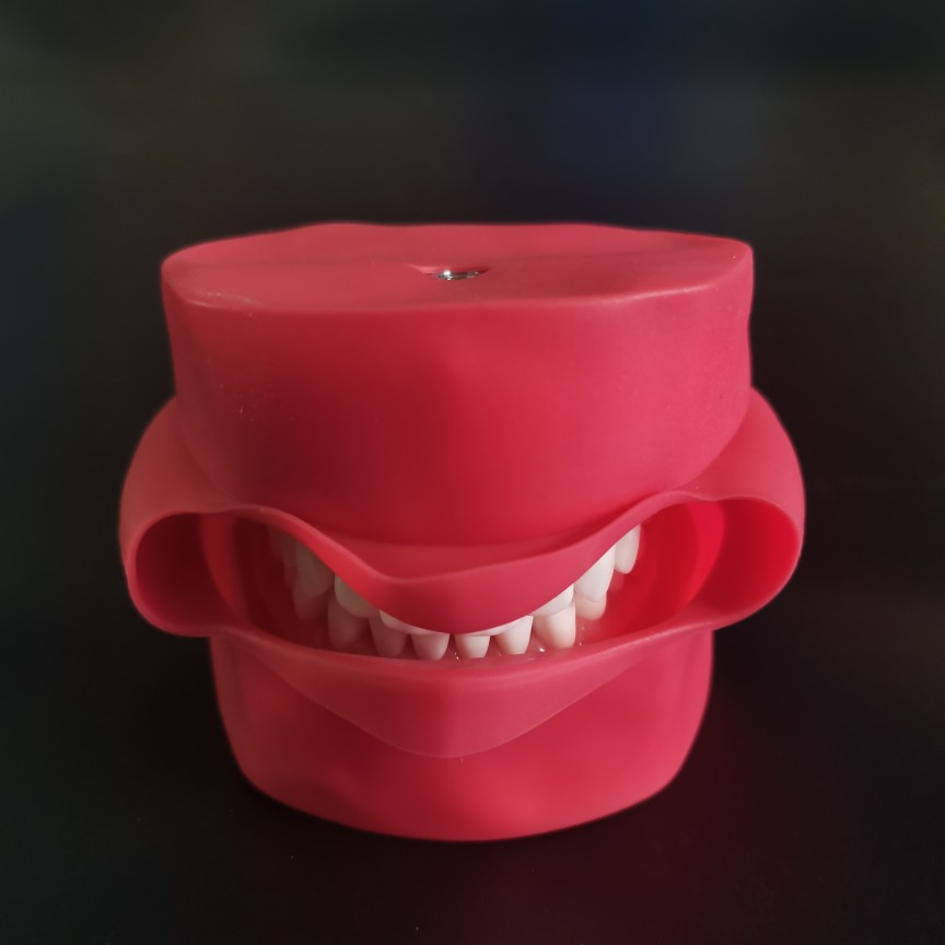 备牙模型开髓牙仿真牙科牙粒口腔根管离体牙树脂牙考试专用牙 37号