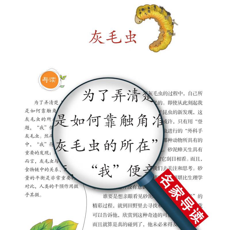 精装典藏法布尔昆虫记第二册灰毛虫松毛虫萤火虫原著小学生青少年版