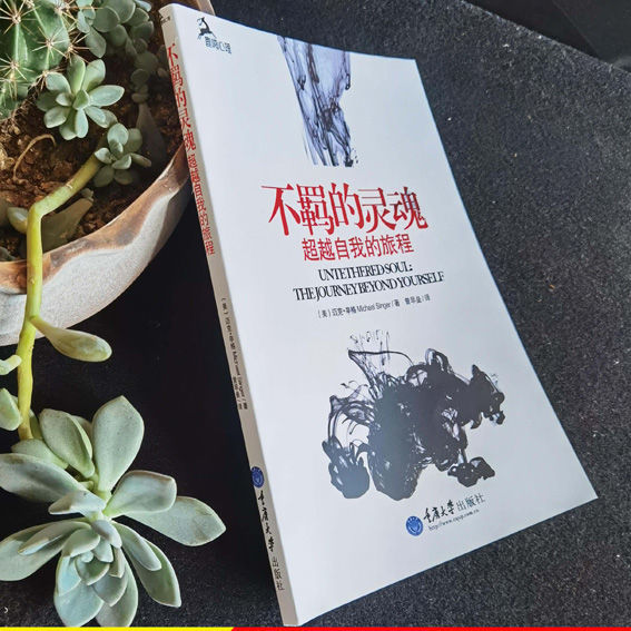 dmen不羁的灵魂自我的旅程辛格著不羁的灵魂自我的旅程