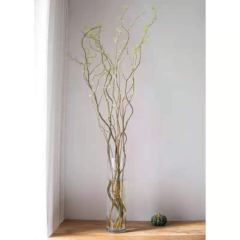 水培植物活龙柳鲜枝龙柳水培客厅卧室易成活高端软装四季落地绿植90