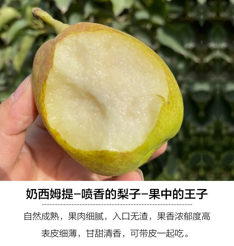 库尔勒香梨全母梨新鲜水果特级梨子10斤整箱 9斤 公母混装(单果重约