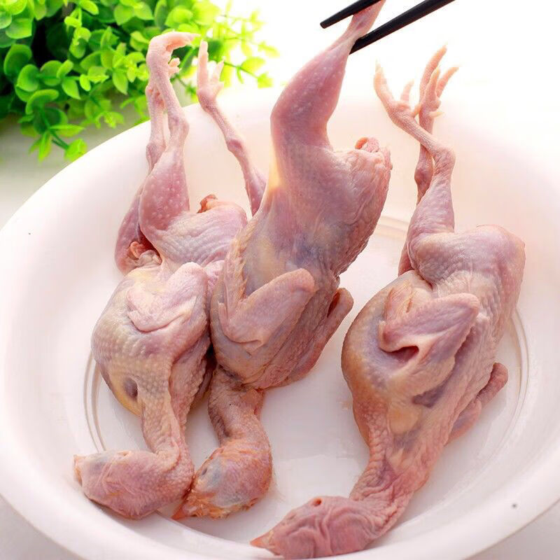 湾钰蜜 特大母鹌鹑 放血去内脏 活体新鲜白条鹌鹑肉冷冻烧烤批发油炸