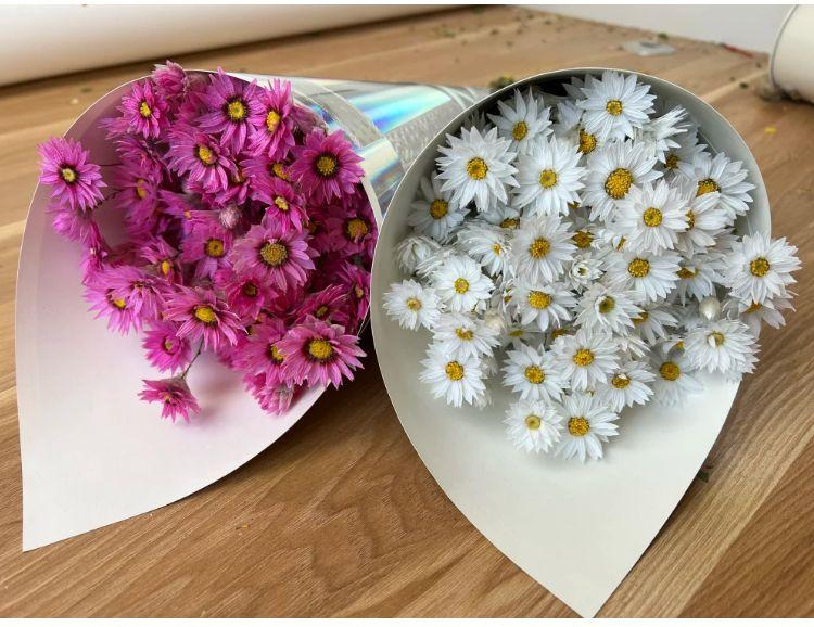 天然真花鲁丹鸟风干罗丹斯干花束家居装饰客厅ins北欧风野餐拍摄sn