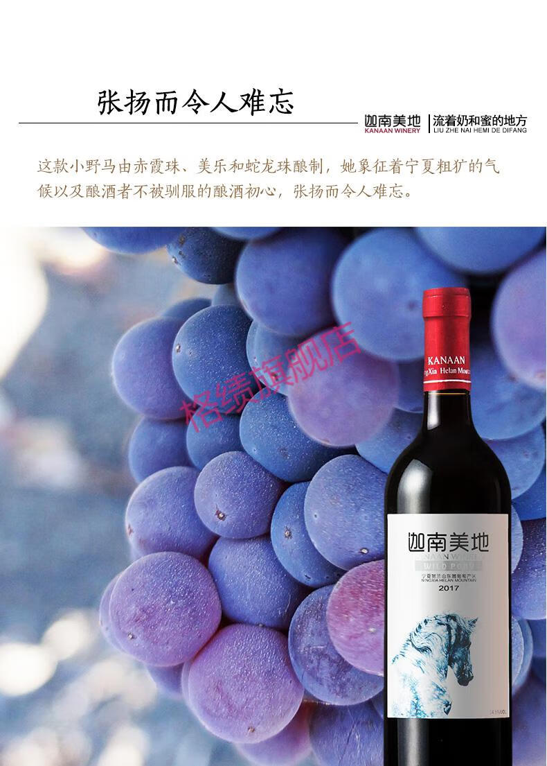迦南美地小野马干红葡萄酒山海情宁夏红酒750ml