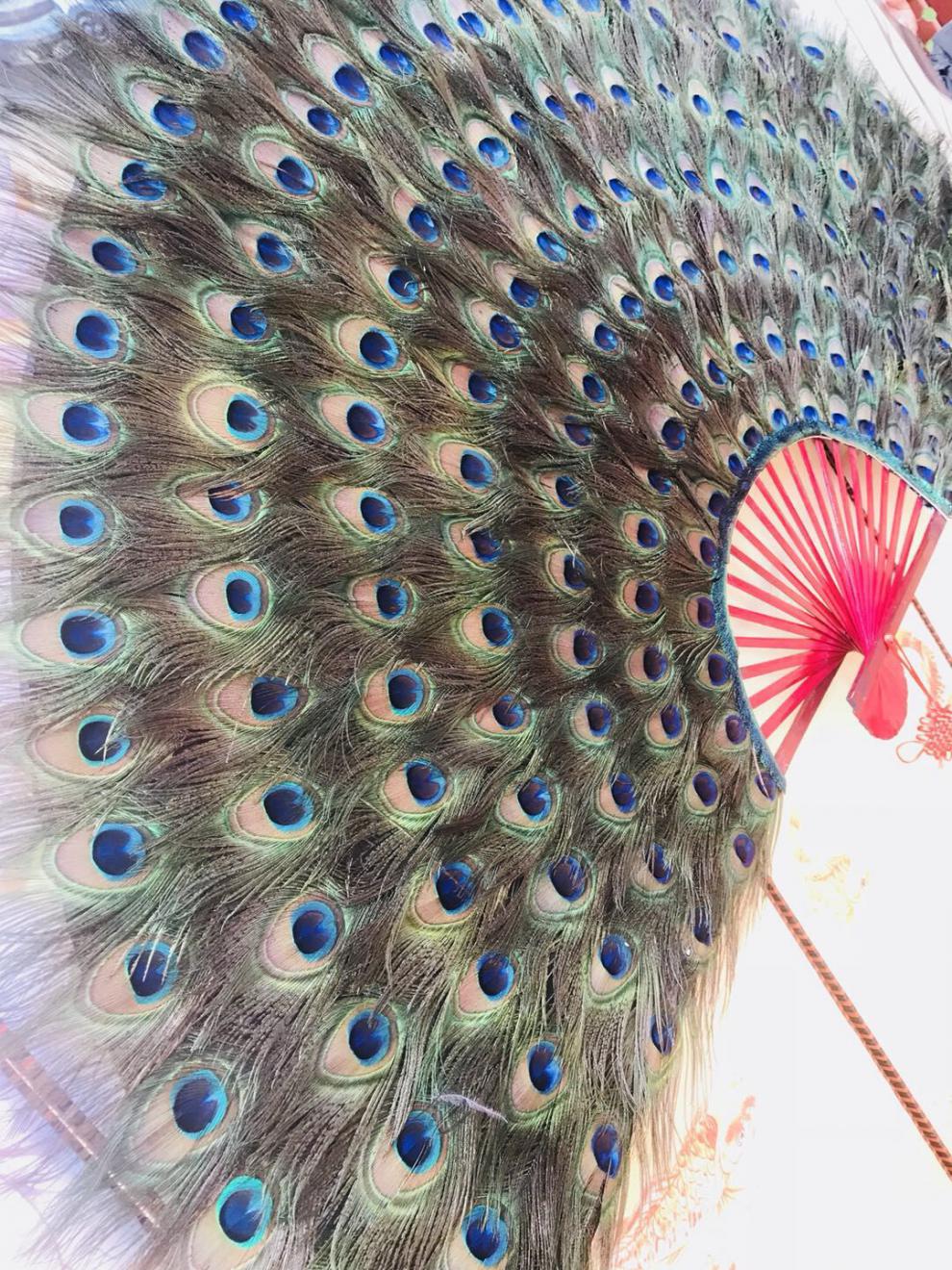 生态同款大挂扇装饰孔雀羽毛扇子真羽毛扇创意家居装电视背景墙客厅