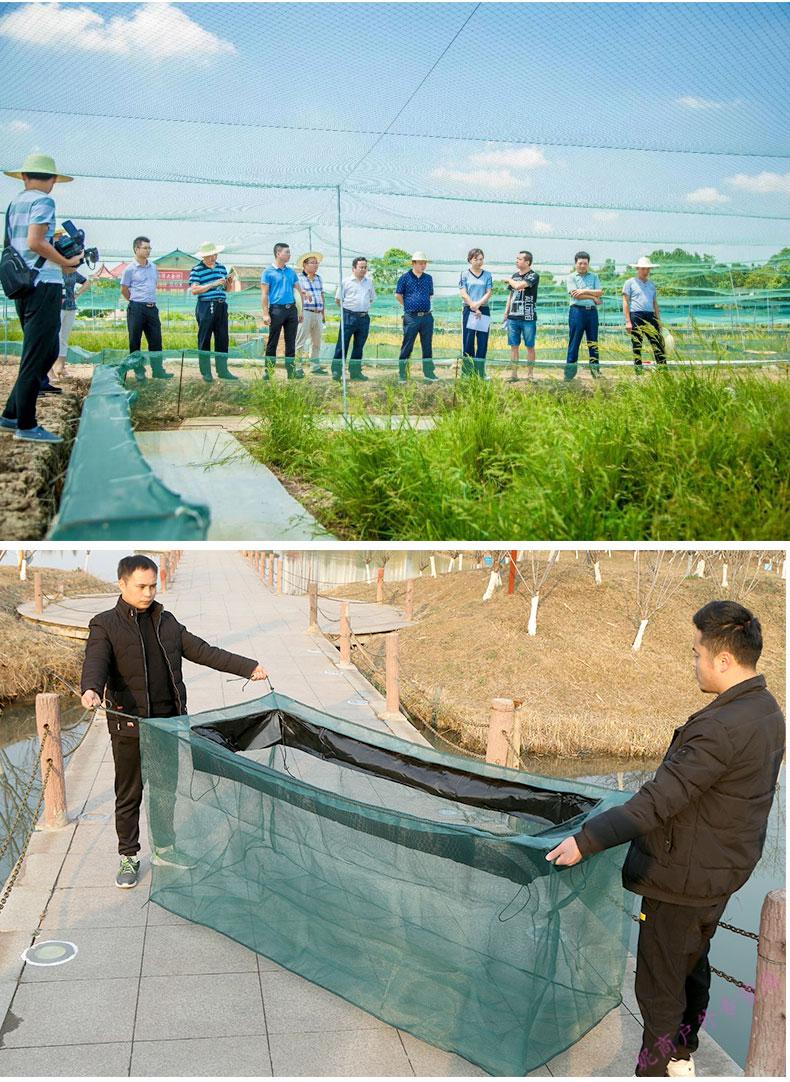 大型養殖魚廠可用養魚網箱拉網龍蝦螃蟹泥鰍黃鱔水蛭魚苗育苗網箱尼龍